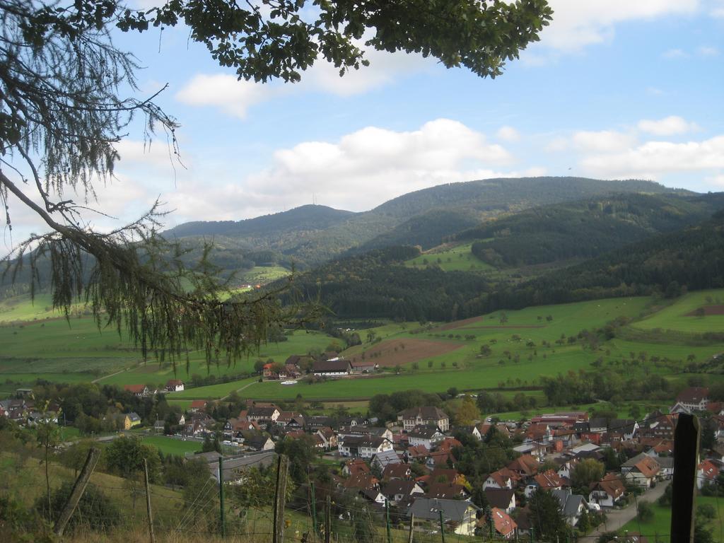 Haus Gerlinde Otel Zell am Harmersbach Dış mekan fotoğraf